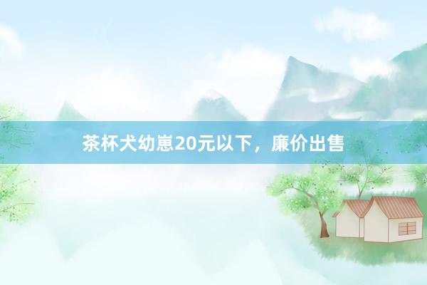 茶杯犬幼崽20元以下，廉价出售